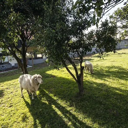 Selection Al Holiday home