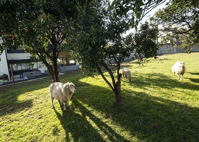 Selection Al Dom wakacyjny